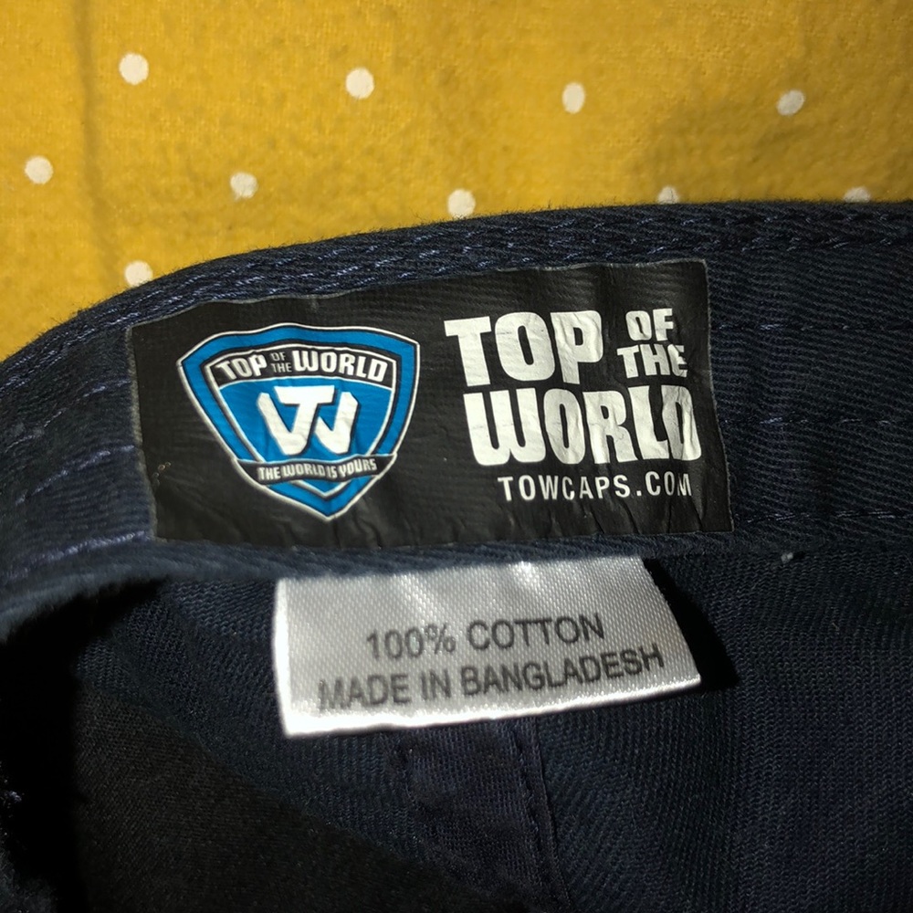 Michigan hat - Picture 3 of 3